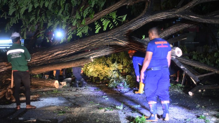 Petugas pemadam kebakaran berusaha memindahkan pohon yang tumbang di Palu, Sulawesi Tengah, Sabtu (18/6/2022). Sejumlah pohon di Palu tumbang dan menutup jalan akibat diterjang angin kencang yang sertai huja. ANTARA FOTO/Mohamad Hamzah/YU