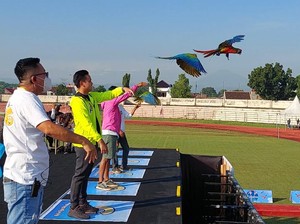 Pemkab Kendal Gelar Lomba Burung Macaw Tingkat Nasional