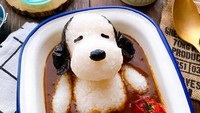 Foto: boredpanda.com / Instagram : @sanaaaaaaaaat
