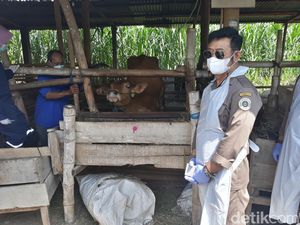 Mentan Pimpin Apel Siaga PMK, Sapi-sapi di Jateng Mulai Divaksin