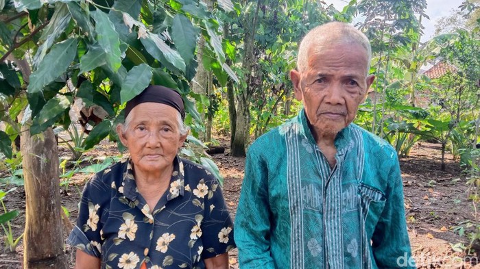 Pasutri asal Purworejo calon haji tertua gagal berangkat ke Saudi tahun ini. Pasangan Amat Rokhani (97) dan Jemayem (95) berharap mereka masih hidup dan bisa berangkat haji tahun depan.