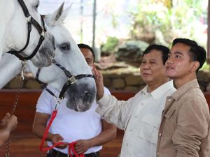 Ragam Komentar 3 Partai KIM Usai Gibran Menguat Cawapres Prabowo