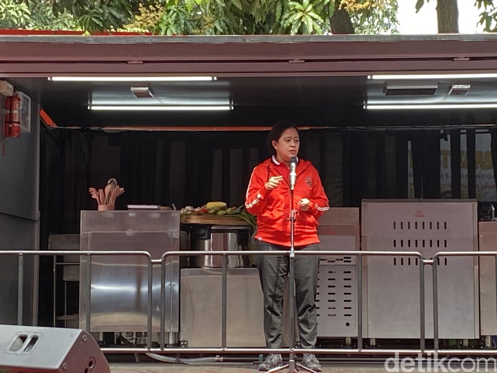 Puan Maharani (Annisa RF/detikcom) Puan Maharani (Annisa RF/detikcom)