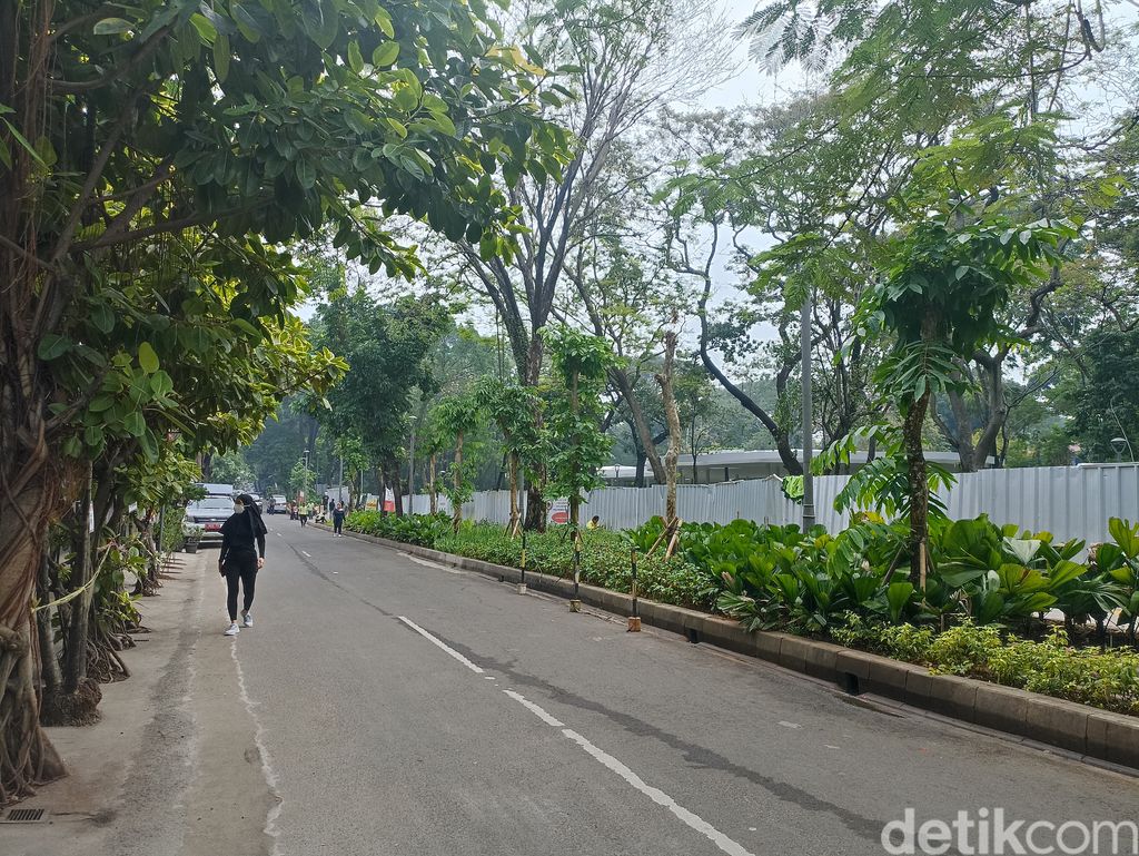Tebet Eco Park, Sabtu 18 Juni 2022, pukul 10.00 WIB. (Wildan Noviansah/detikcom)