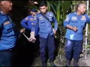 Ular Kobra 3 Meter Masuk Warkop di Gowa Bikin Geger Pengunjung