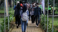 Melalui kegiatan ini, PPK Kemayoran berharap mengoptimalkan Utan Kemayoran sebagai destinasi wisata hijau di Jakarta.