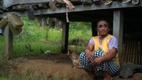 Polahi (pelarian) merupakan sebutan bagi warga yang konon melarikan diri saat jaman penjajahan Belanda ke daerah pegunungan dan hidup di tengah hutan.