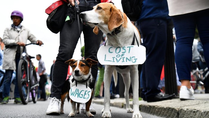 Ada Anjing Ikut Demo di Irlandia, Ini Fotonya Aksi unjuk rasa memprotes kenaikan biaya hidup digelar di kawasan Dublin, Irlandia. Uniknya, terlihat dua ekor anjing ikut serta dalam demo itu. Ini fotonya.