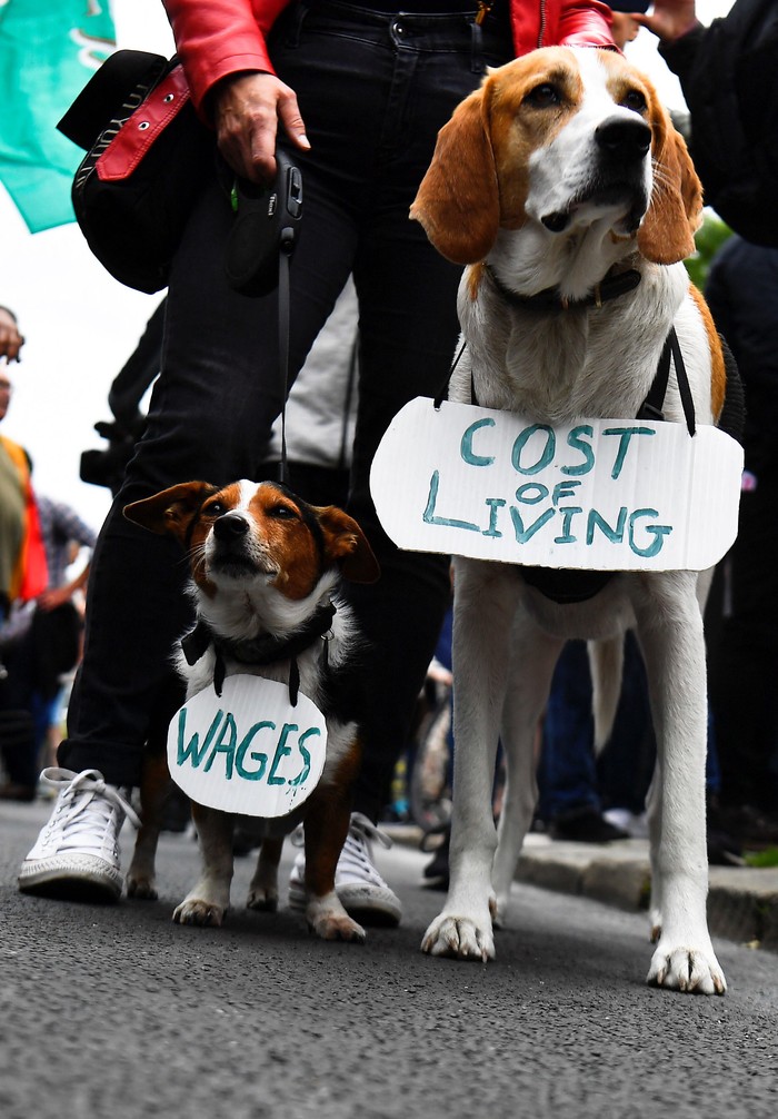 Ada Anjing Ikut Demo di Irlandia, Ini Fotonya Aksi unjuk rasa memprotes kenaikan biaya hidup digelar di kawasan Dublin, Irlandia. Uniknya, terlihat dua ekor anjing ikut serta dalam demo itu. Ini fotonya.