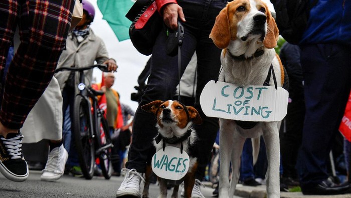 Aksi unjuk rasa memprotes kenaikan biaya hidup digelar di kawasan Dublin, Irlandia. Uniknya, terlihat dua ekor anjing ikut serta dalam demo itu. Ini fotonya.