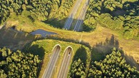 Di Belgia terdapat jembatan besar yang dibangun di atas jalan raya. Jembatan itu dibangun bagi hewan liar yang berada di kawasan hutan di sekitarnya. Dok. michielap via Boredpanda. 