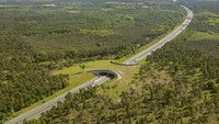 Jembatan penyeberangan di Jerman berada di atas sistem jalan motor Autobahn. Jembatan itu terlihat hijau oleh rumpu di atasnya. Dok. Boredpanda.
