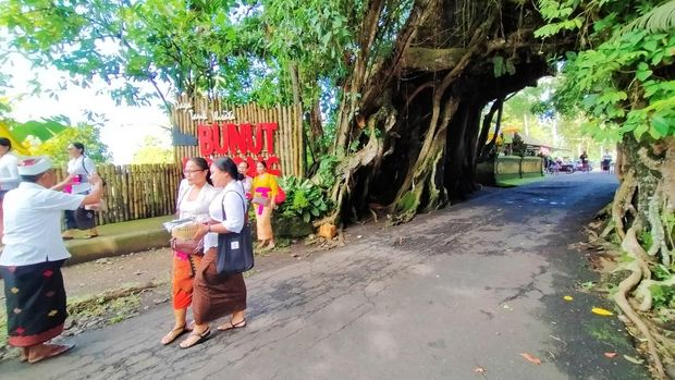 Bunut Bolong salah satu destinasi wisata di Jembrana. Berada di Banjar Bunut Bolong, Desa Manggissari, Kecamatan Pekutatan, Kabupaten Jembrana Bali, Minggu (19/6/2022)