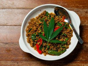 Ganja Legal di Thailand, Pemerintah Buat Aturan Makanan Pakai Ganja