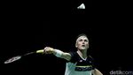 Momen Selebrasi Viktor Axelsen yang Juara Lagi di Istora