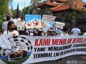 PT DEB Bantah Tudingan Walhi Soal Luas Lahan Mangrove untuk LNG