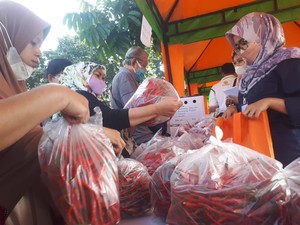 Mentan Jamin Harga Cabai Bawang Aman Jelang Idul Adha, Begini Caranya