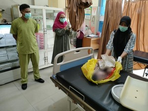 Sedang Petik Pepaya, Warga Lombok Temukan Bayi Terbungkus Plastik