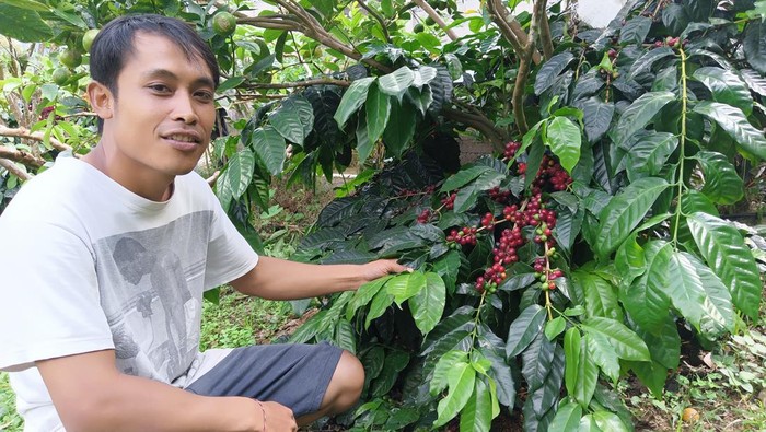 Warga di Banjar Jempanang, Desa Belok Sidan, Kecamatan Petang, Badung, mengembangkan potensi perkebunan kopi yang menjanjikan. Kopi Jempanang namanya.