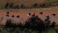Foto udara saat peserta kejuaraan kotak sabun menuruni bukit.
