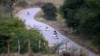 Balapan kotak sabun itu digelar di jalur turunan curam sepanjang 3 kilometer.