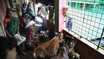 Bangladesh Banjir, Warga Ngungsi Bareng Hewan Ternak di Sekolah