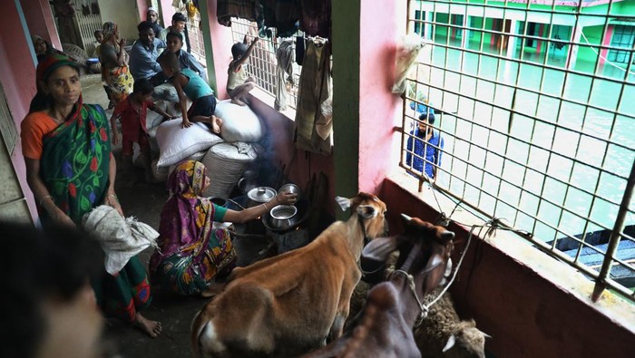 Banjir dahsyat merendam sejumlah wilayah Bangladesh. Akibatnya, sejumlah warga kini mengungsi di bangunan sekolah bersama hewan ternak mereka.