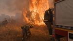 Ngeri! Kebakaran Hutan di Spanyol Rusak Puluhan Ribu Hektare Lahan