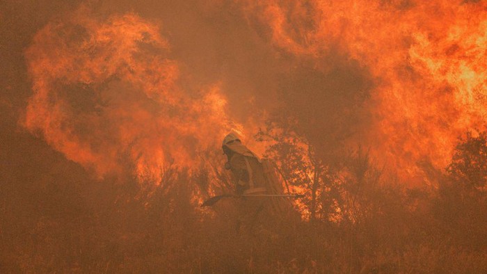 Dahsyatnya Kebakaran Hutan di Spanyol, Rusak Puluhan Ribu Hektar Lahan A firefighter operates at the site of a wildfire in Pumarejo de Tera near Zamora, northern Spain, on June 18, 2022. - Firefighters continued to fight against multiple fires in Spain, one of which ravaged nearly 20,000 hectares of land, on the last day of an extreme heat wave which crushed the country, with peaks at 43 degrees. The largest of these forest fires was still out of control this afternoon in the Sierra de la Culebra, a mountain range in the region of Castile and Leon (northwest), near the border with Portugal. (Photo by CESAR MANSO / AFP) (Photo by CESAR MANSO/AFP via Getty Images)