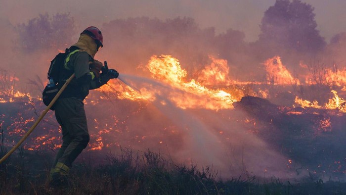 Dahsyatnya Kebakaran Hutan di Spanyol, Rusak Puluhan Ribu Hektar Lahan A firefighter operates at the site of a wildfire in Pumarejo de Tera near Zamora, northern Spain, on June 18, 2022. - Firefighters continued to fight against multiple fires in Spain, one of which ravaged nearly 20,000 hectares of land, on the last day of an extreme heat wave which crushed the country, with peaks at 43 degrees. The largest of these forest fires was still out of control this afternoon in the Sierra de la Culebra, a mountain range in the region of Castile and Leon (northwest), near the border with Portugal. (Photo by CESAR MANSO / AFP) (Photo by CESAR MANSO/AFP via Getty Images)