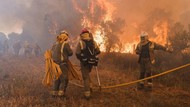 Ngeri! Kebakaran Hutan di Spanyol Rusak Puluhan Ribu Hektare Lahan