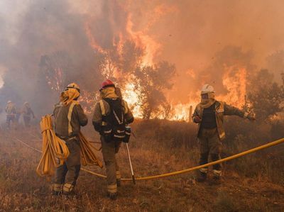 Ngeri! Kebakaran Hutan di Spanyol Rusak Puluhan Ribu Hektare Lahan
