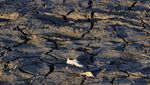 Foto Udara Danau di Texas yang Nyaris Kering Imbas Gelombang Panas