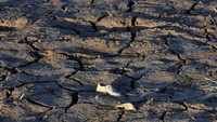 Sebuah sepatu terlihat di dasar Danau Medina yang kering.