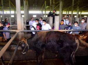87.865 Kasus PMK Tersebar di 38 Kab/Kota Jatim, Terbanyak 5 Daerah Ini