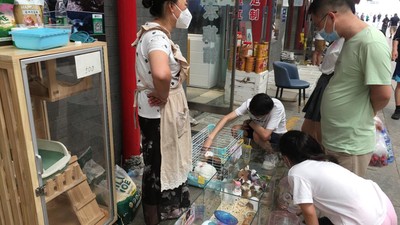 Hindari Wabah Cacar Monyet, China Ketatkan Impor Binatang