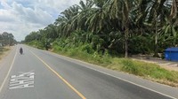 Dipantau dari google maps, lokasi kejadian di jalan lintas Sumatera tersebut hanya memiliki ruas jalan untuk dua mobil. Dok. Google Maps  