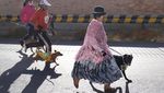 Intip Keseruan Perroton, Lari Maraton Bareng Anjing di Bolivia