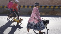 Kegiatan ini menarik perhatian publik karena warga dapat berlari maraton bersama anjing peliharaannya. 