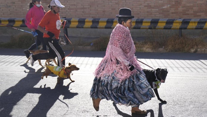 Intip Keseruan Perroton, Lari Maraton Bareng Anjing di Bolivia Perroton jadi salah satu kegiatan unik nan menarik yang ada di Bolivia. Di kegiatan itu peserta bisa lari maraton bareng anjing peliharaan lho. Ini fotonya.