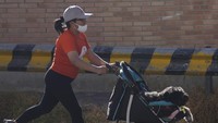 Ada pula warga yang menggunakan stroler untuk membawa anjing peliharaannya saat ikut serta dalam maraton unik tersebut. 