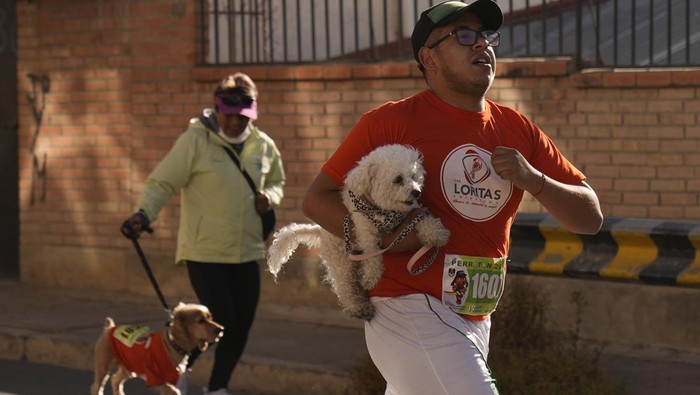 Perroton jadi salah satu kegiatan unik nan menarik yang ada di Bolivia. Di kegiatan itu peserta bisa lari maraton bareng anjing peliharaan lho. Ini fotonya.