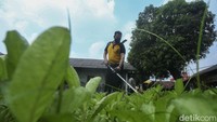 Mesin pemotong dikerahkan untuk mempercepat pemotongan rumput.