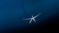 Tidak mudah membangun kincir angin di tengah laut. Para insinyur Jerman membuat teknik tersendiri terutama terkait sistem pondasi yang memungkinkan kincir angin ini kokoh di tengah air laut.