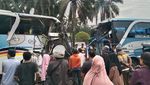 Penampakan 2 Bus yang Terlibat Kecelakaan Maut di Labusel