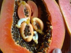 Begini Alam Mengejutkan Kita dengan Cara Tak Terduga