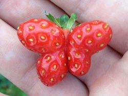 Begini Alam Mengejutkan Kita dengan Cara Tak Terduga