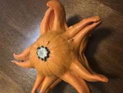 Begini Alam Mengejutkan Kita dengan Cara Tak Terduga