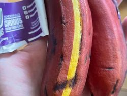 Begini Alam Mengejutkan Kita dengan Cara Tak Terduga