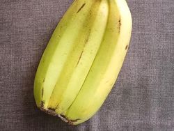 Begini Alam Mengejutkan Kita dengan Cara Tak Terduga